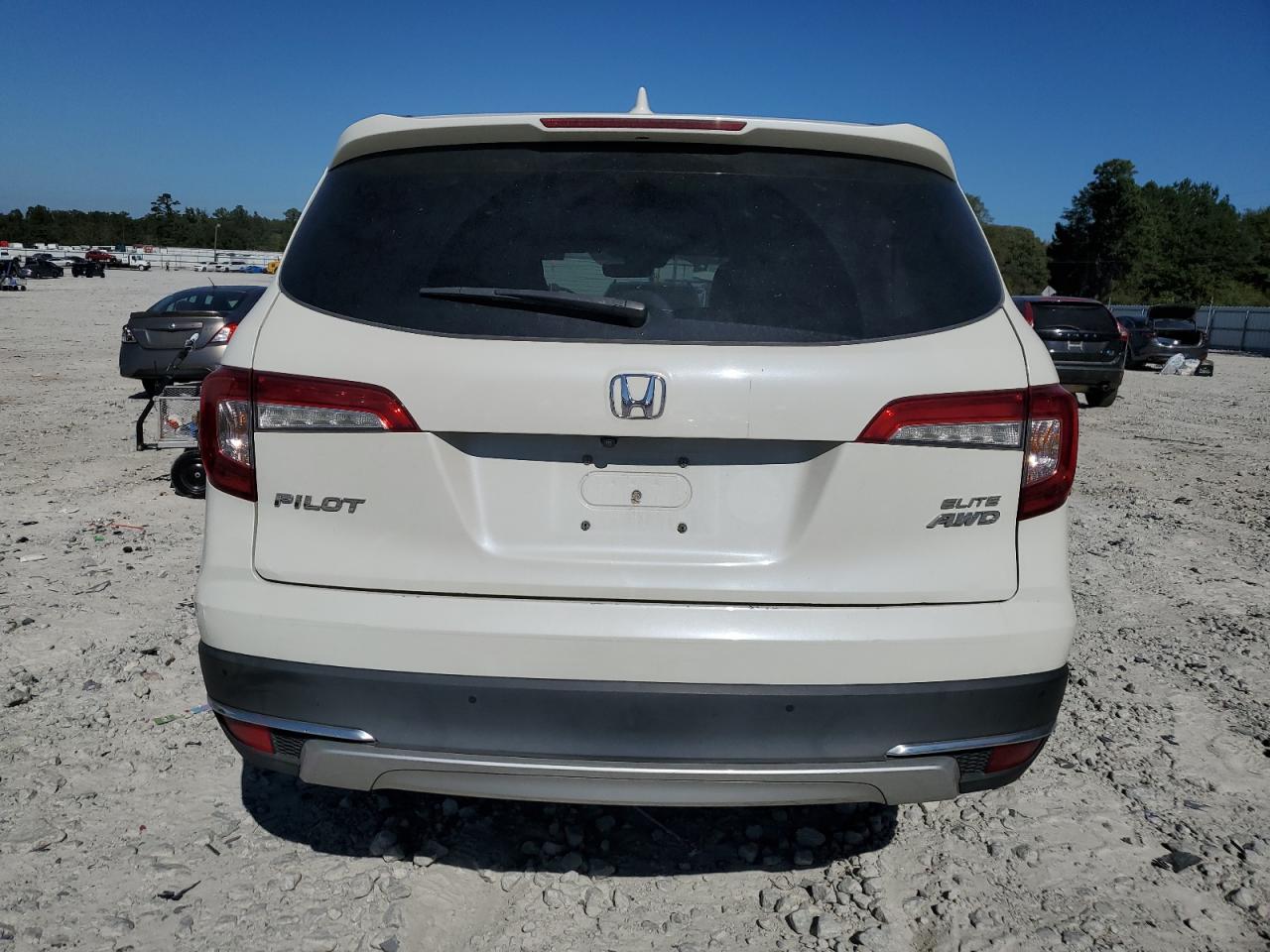 2019 Honda Pilot Elite VIN: 5FNYF6H00KB042293 Lot: 81980885
