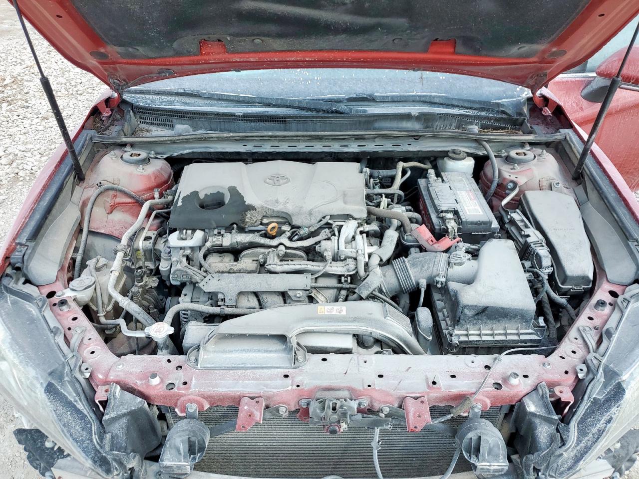 2019 Toyota Camry Xse VIN: 4T1B61HK9KU282701 Lot: 85153895