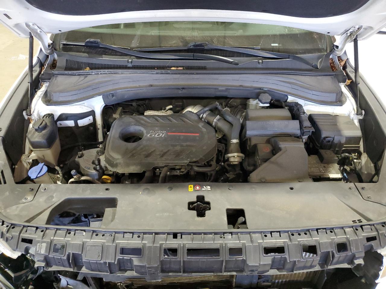 2020 Hyundai Santa Fe Sel VIN: 5NMS3CAA8LH255945 Lot: 84217815