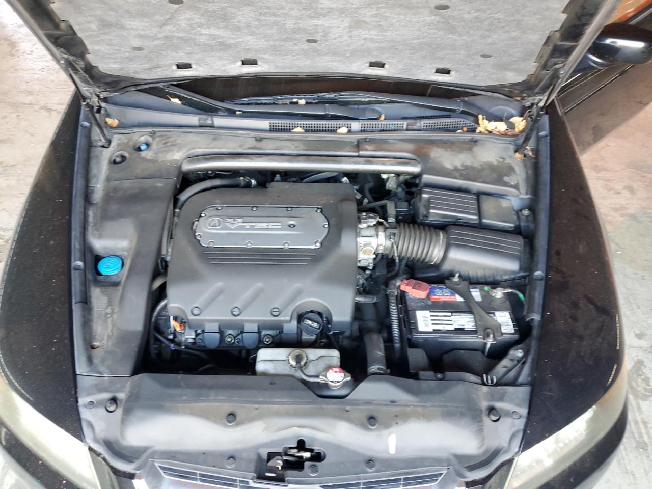 2004 Acura Tl VIN: 19UUA66284A067246 Lot: 85407055