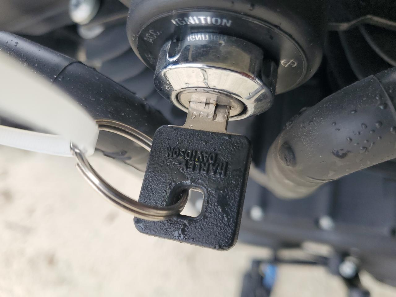 2019 Harley-Davidson Xl1200 Ns VIN: 1HD1LP31XKC413844 Lot: 85088115