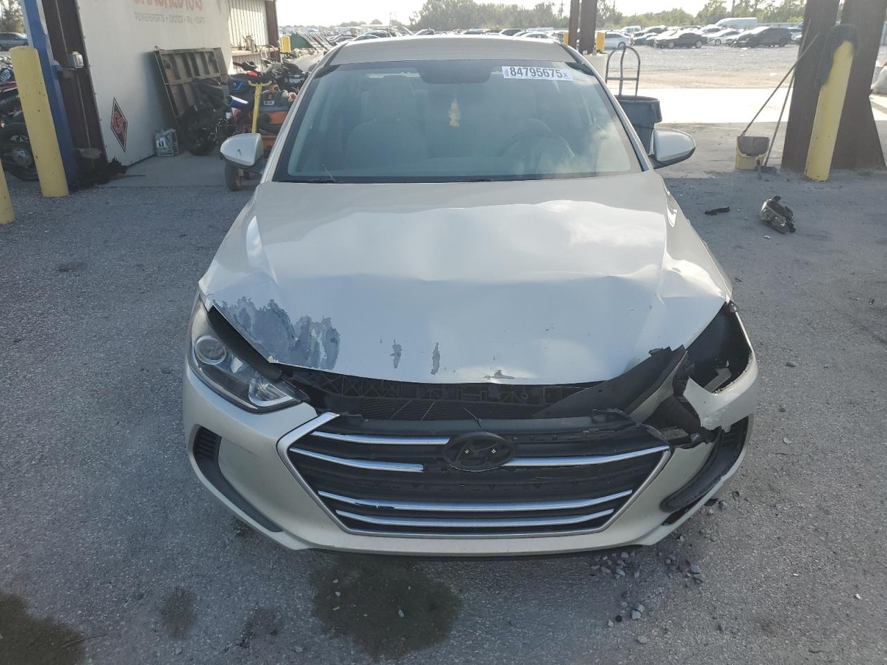 Elantra Elantra