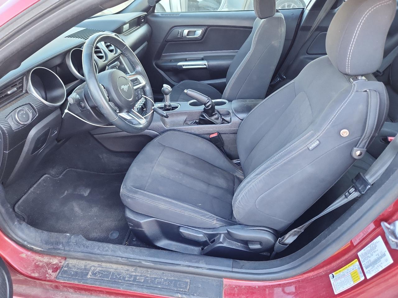 2019 Ford Mustang VIN: 1FA6P8TH8K5166364 Lot: 86312305