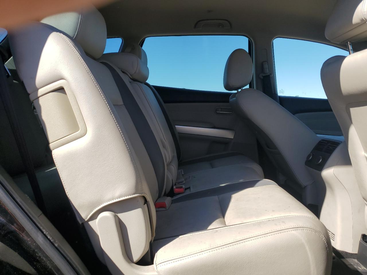 2009 Mazda Cx-9 VIN: JM3TB28A490171466 Lot: 82598805