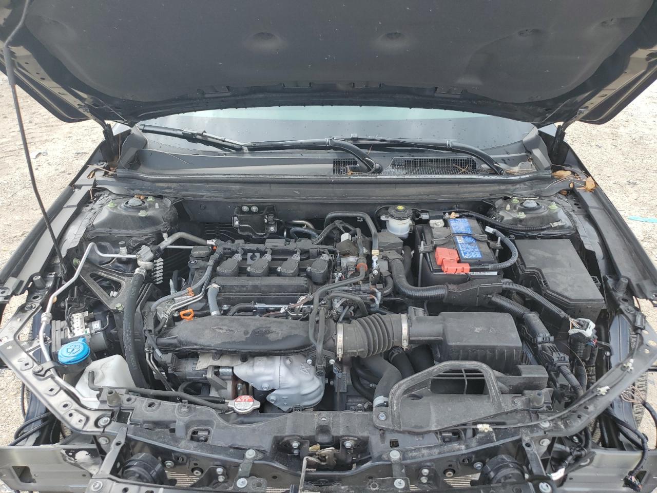 2023 Honda Accord Lx VIN: 1HGCY1F23PA010323 Lot: 71715645