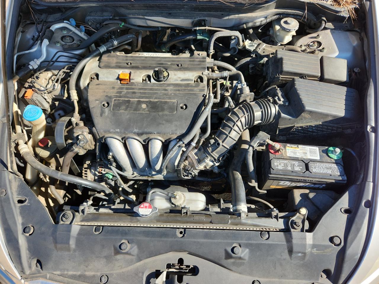 2006 Honda Accord Ex VIN: 1HGCM56806A068749 Lot: 81998955
