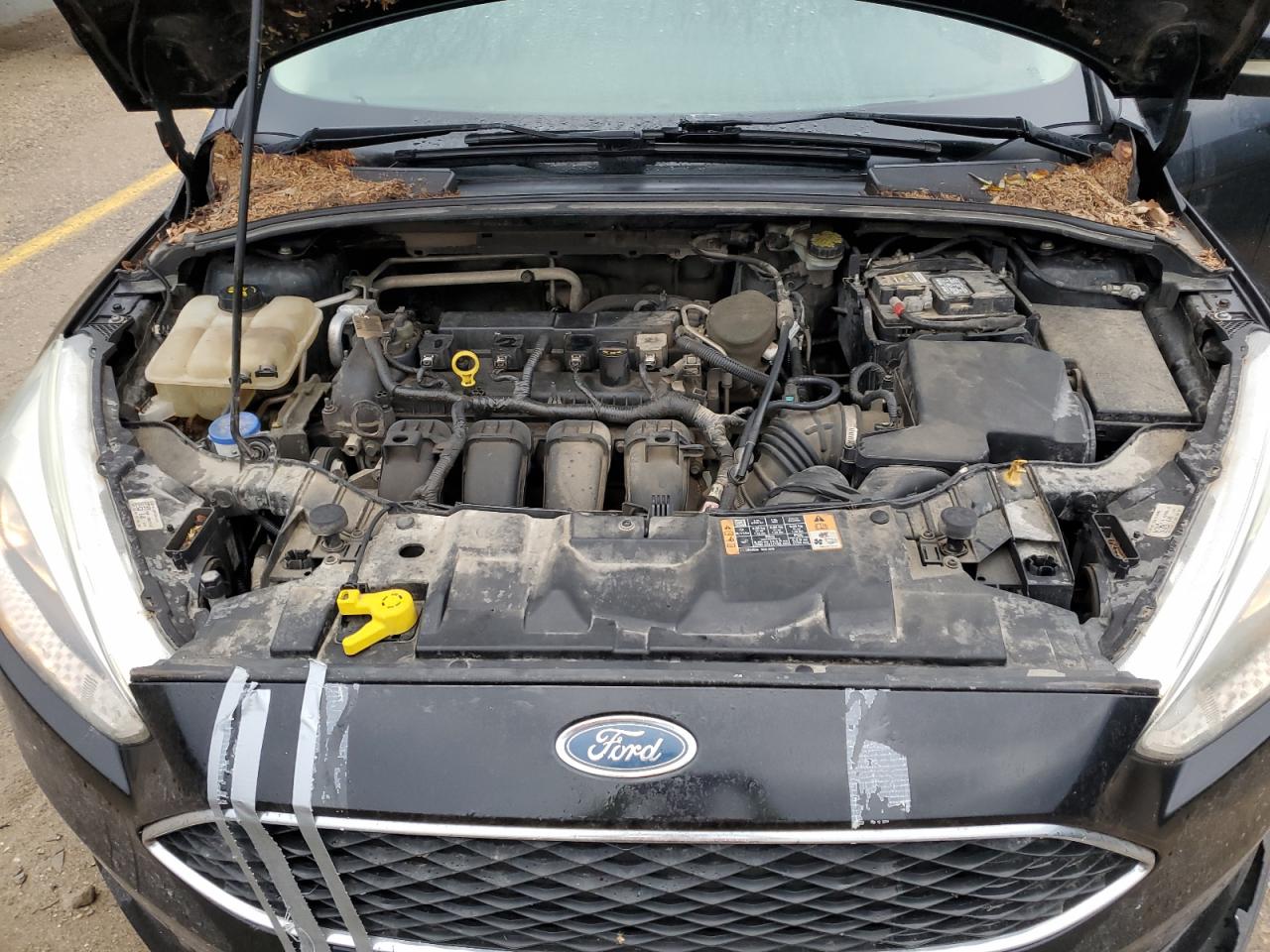 2015 Ford Focus Se VIN: 1FADP3F22FL249789 Lot: 86107545