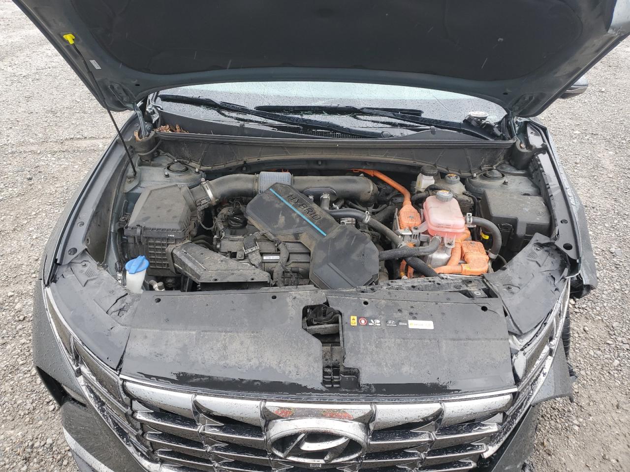 2022 Hyundai Tucson Limited VIN: KM8JECA14NU031245 Lot: 85197065