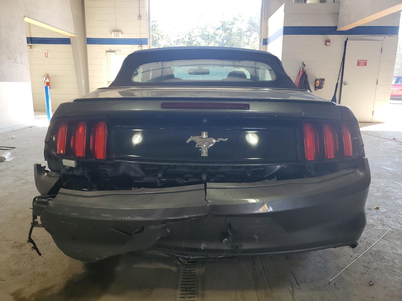 2015 Ford Mustang VIN: 1FATP8EM5F5377606 Lot: 82519535