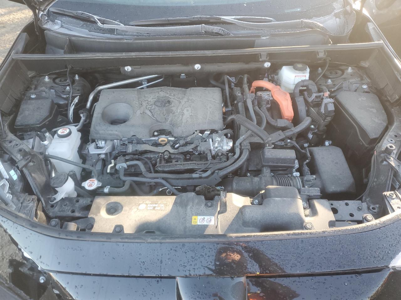 2025 Toyota Rav4 Xle VIN: 2T3RWRFVXSW277959 Lot: 89526465