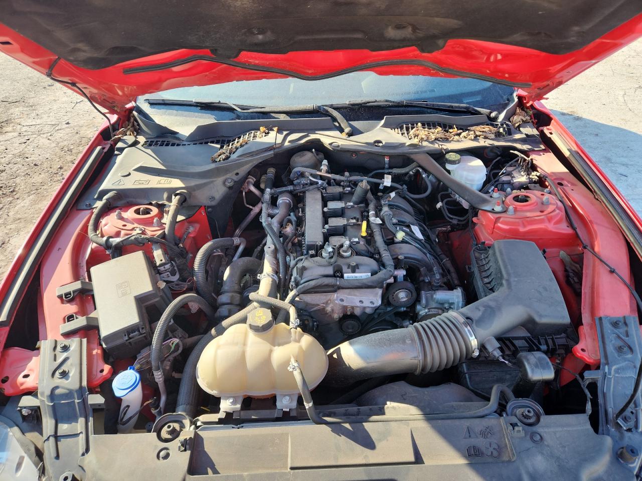 2021 Ford Mustang VIN: 1FATP8UH0M5116241 Lot: 87085755