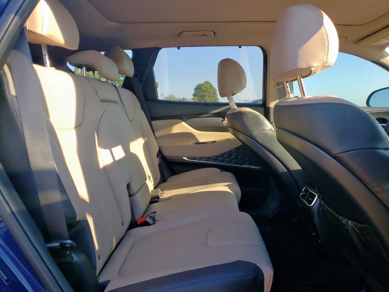 2023 Hyundai Santa Fe Sel Premium VIN: 5NMS3DA19PH004847 Lot: 85886425