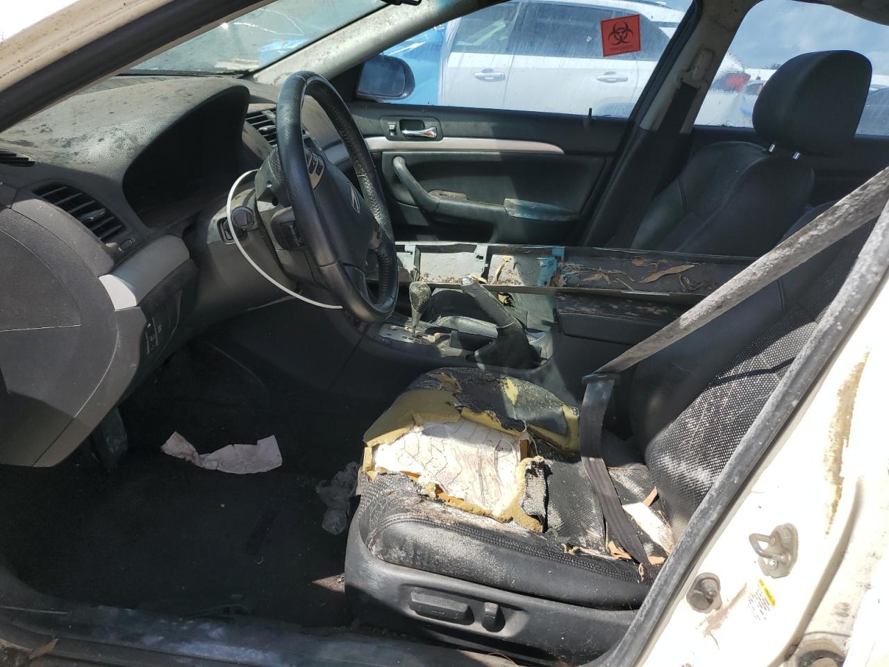 2008 Acura Tsx VIN: JH4CL96998C019041 Lot: 81911865