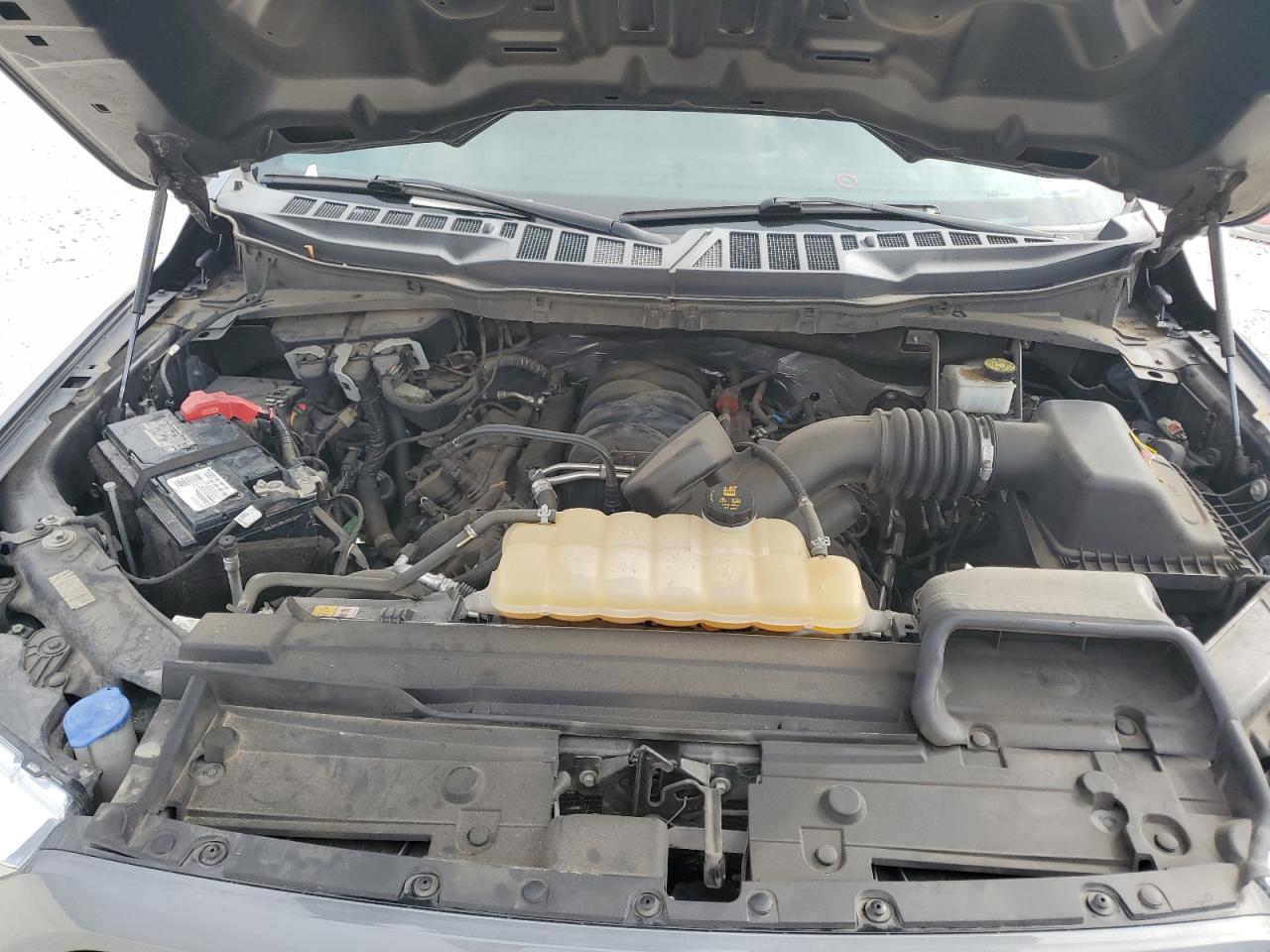 2021 Ford F150 Super Cab VIN: 1FTFX1E50MFA81309 Lot: 87184555