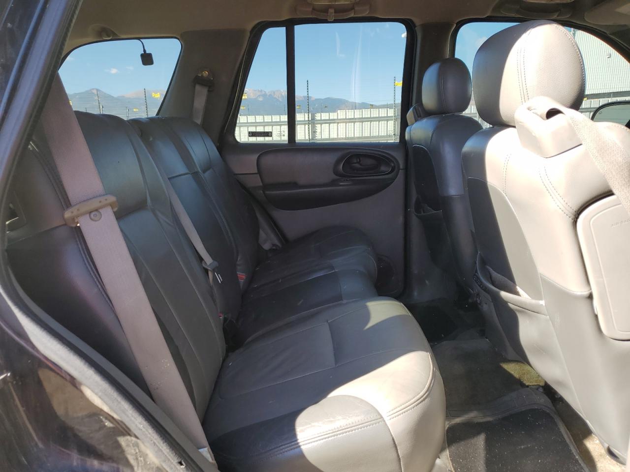 2002 Chevrolet Trailblazer VIN: 1GNDT13S622124820 Lot: 87049345