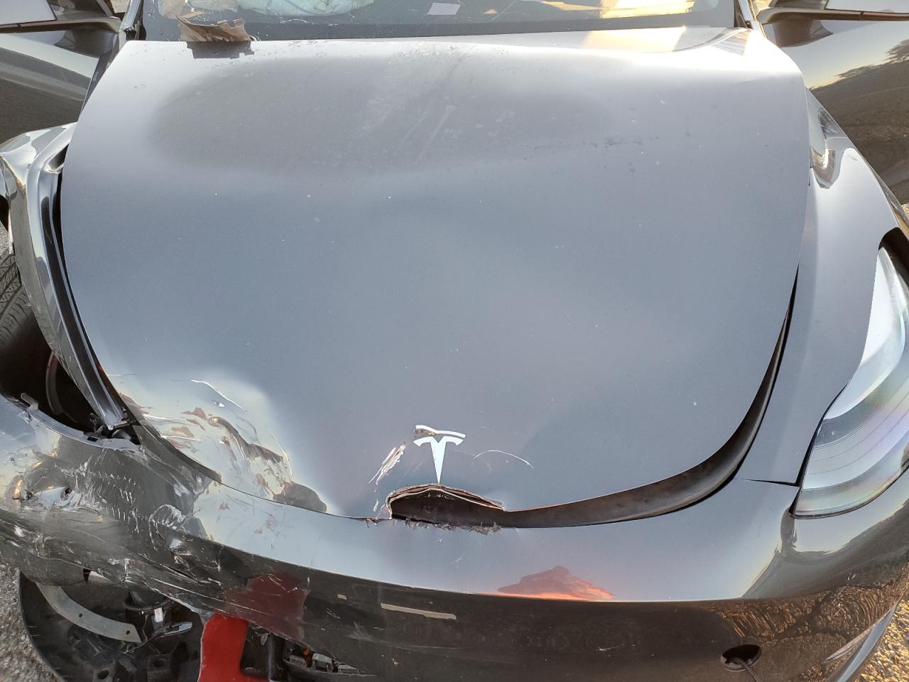 2023 Tesla Model Y VIN: 7SAYGDEE2PF928515 Lot: 86335535