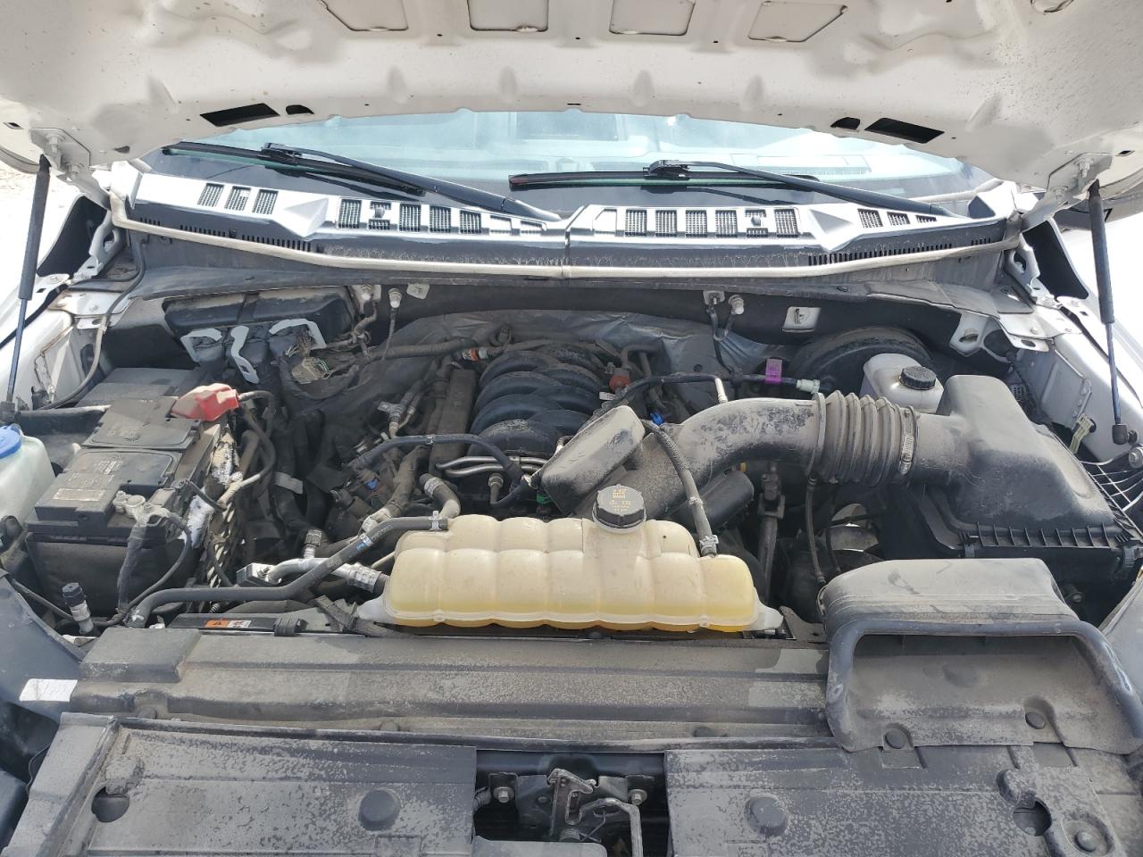 2019 Ford F150 VIN: 1FTMF1C51KKD60043 Lot: 82262975