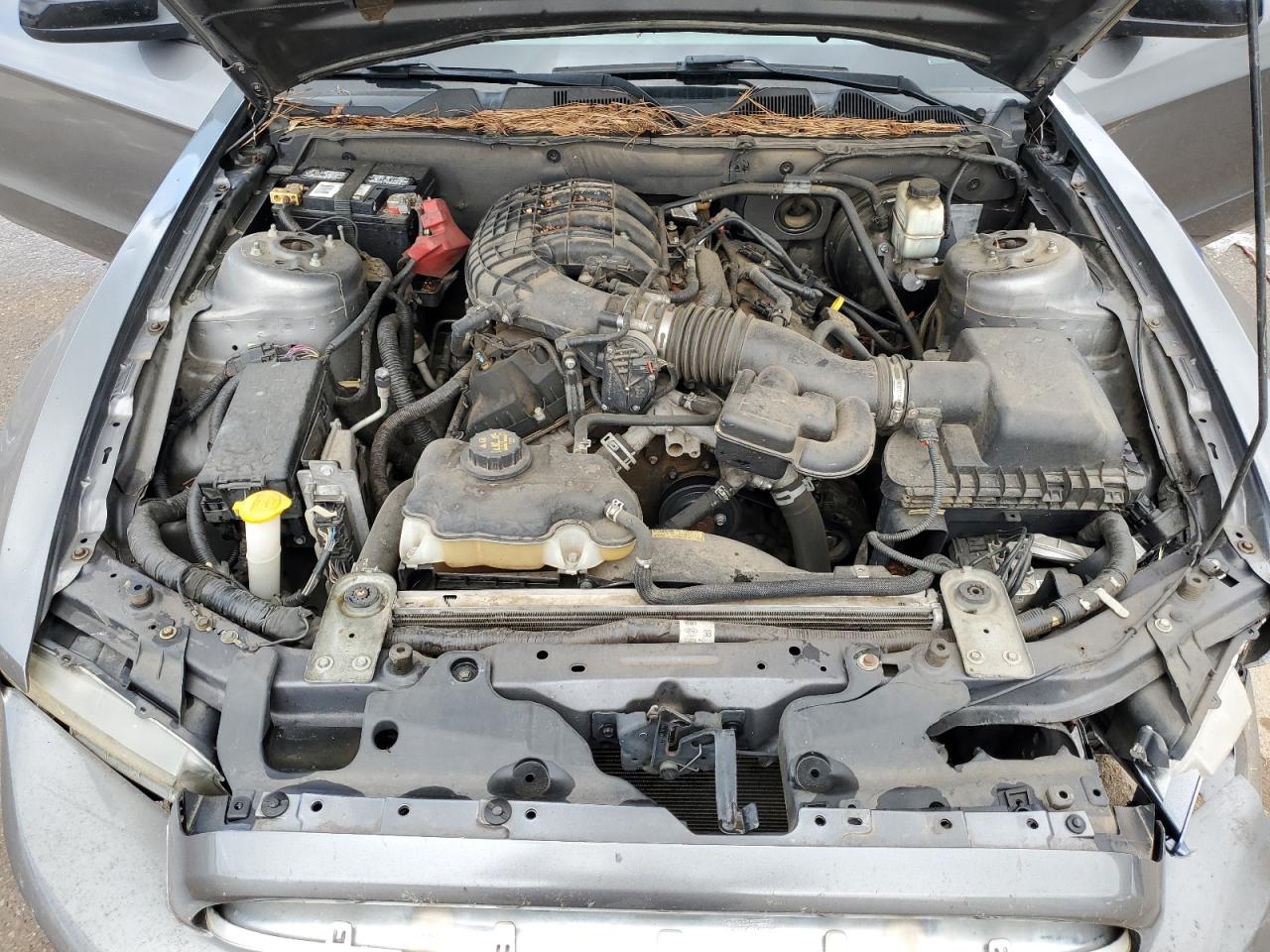 2014 Ford Mustang VIN: 1ZVBP8AM8E5319352 Lot: 85327865