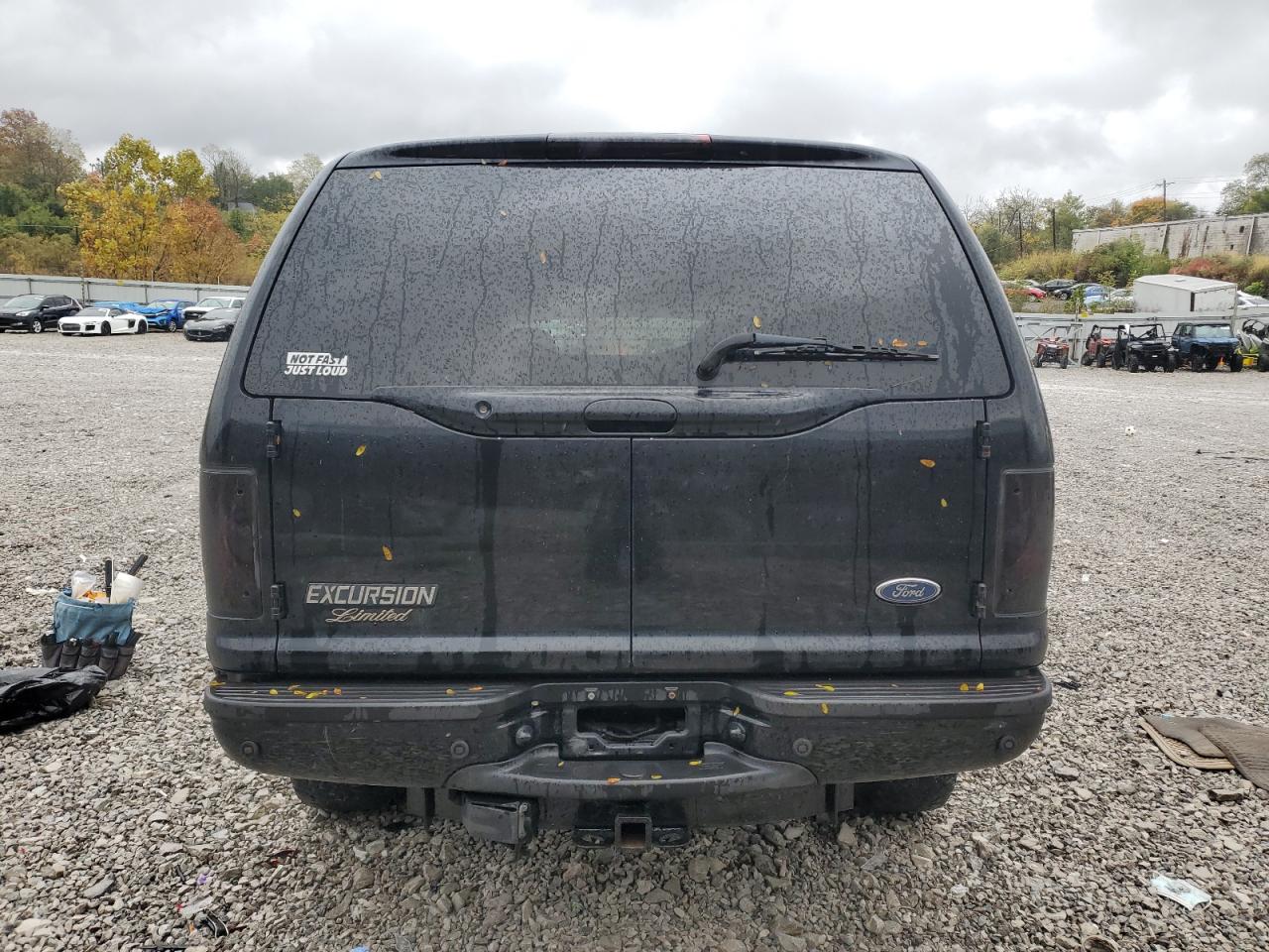 2004 Ford Excursion Limited VIN: 1FMSU43P94EB83318 Lot: 90995235