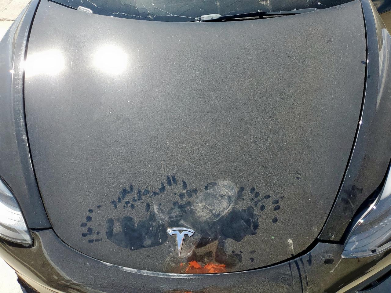 2022 Tesla Model 3 VIN: 5YJ3E1EC3NF106880 Lot: 81515575