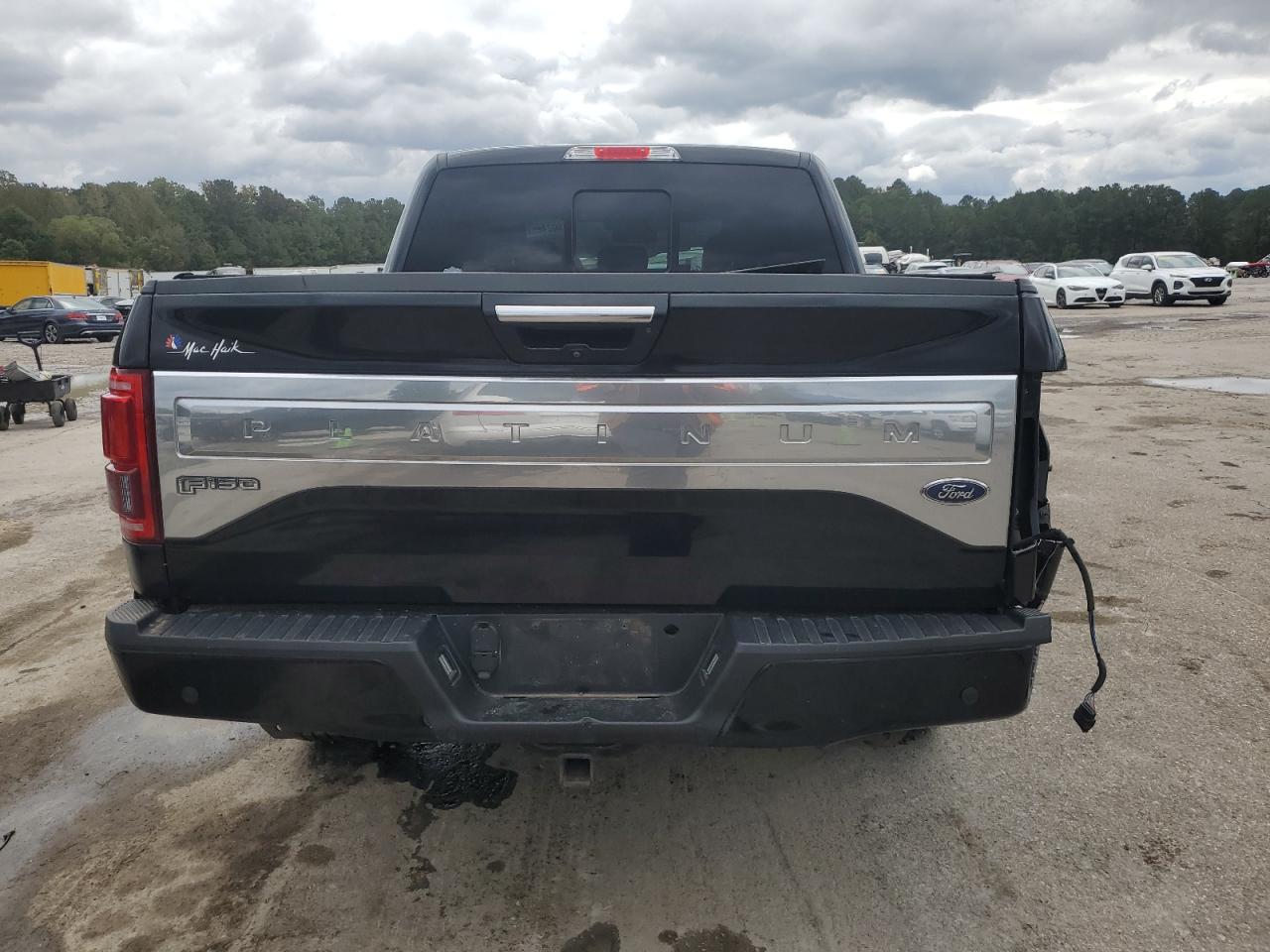 2017 Ford F150 Supercrew VIN: 1FTEW1CG3HFA93415 Lot: 90242525