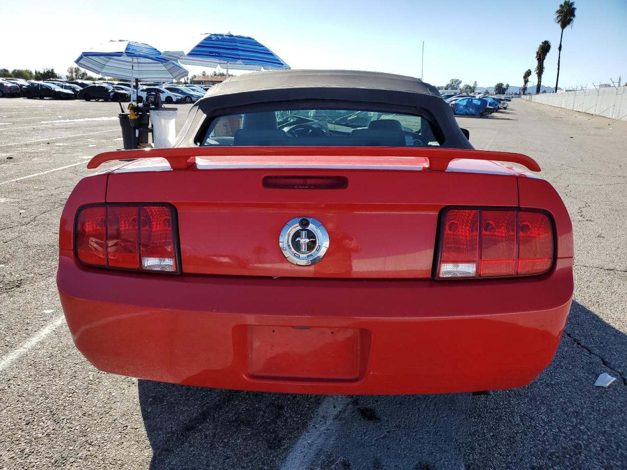 2006 Ford Mustang VIN: 1ZVHT84N265255014 Lot: 86896825