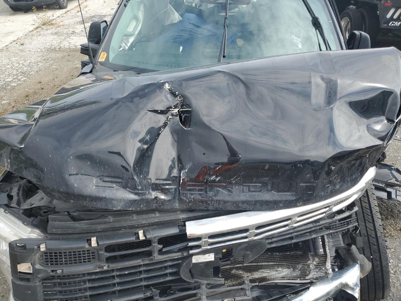 2024 Ford F350 Super Duty VIN: 1FT8W3DM6RED28250 Lot: 81056705