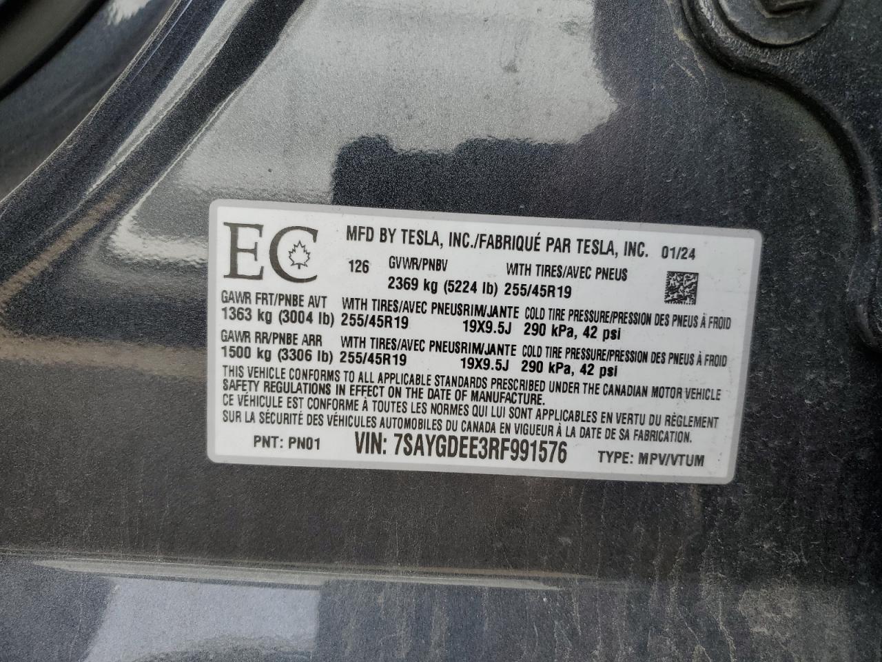 2024 Tesla Model Y VIN: 7SAYGDEE3RF991576 Lot: 71881635