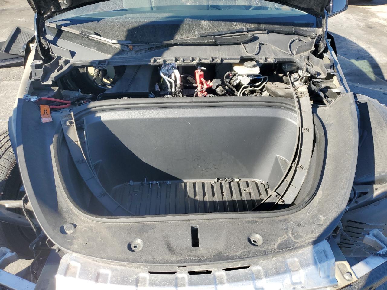 2024 Tesla Model Y VIN: 7SAYGDEE2RF105599 Lot: 90643845