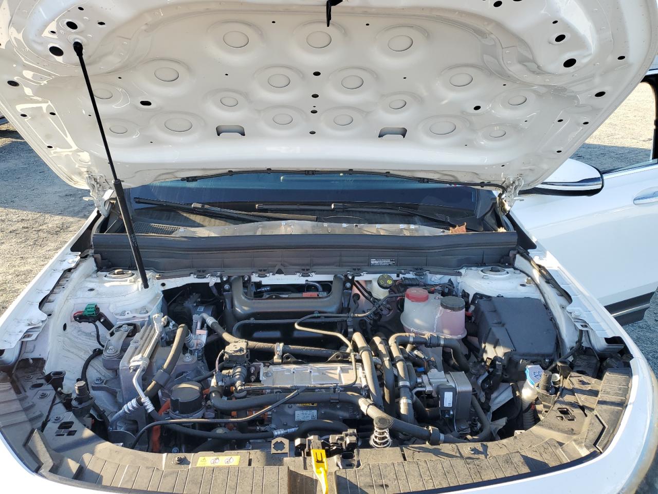 2023 Mercedes-Benz Eqb 250+ VIN: W1N9M0CB8PN055214 Lot: 85528815