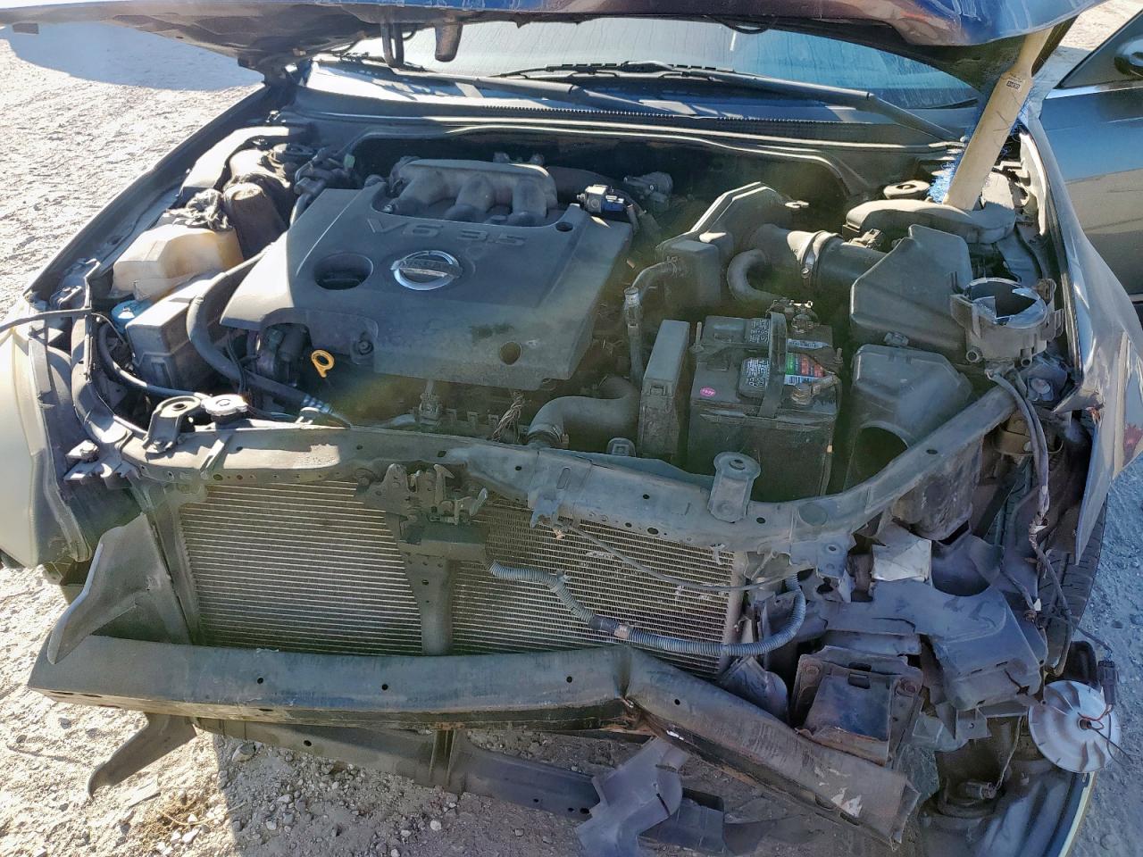 2005 Nissan Altima Se VIN: 1N4BL11D65C183908 Lot: 82266325