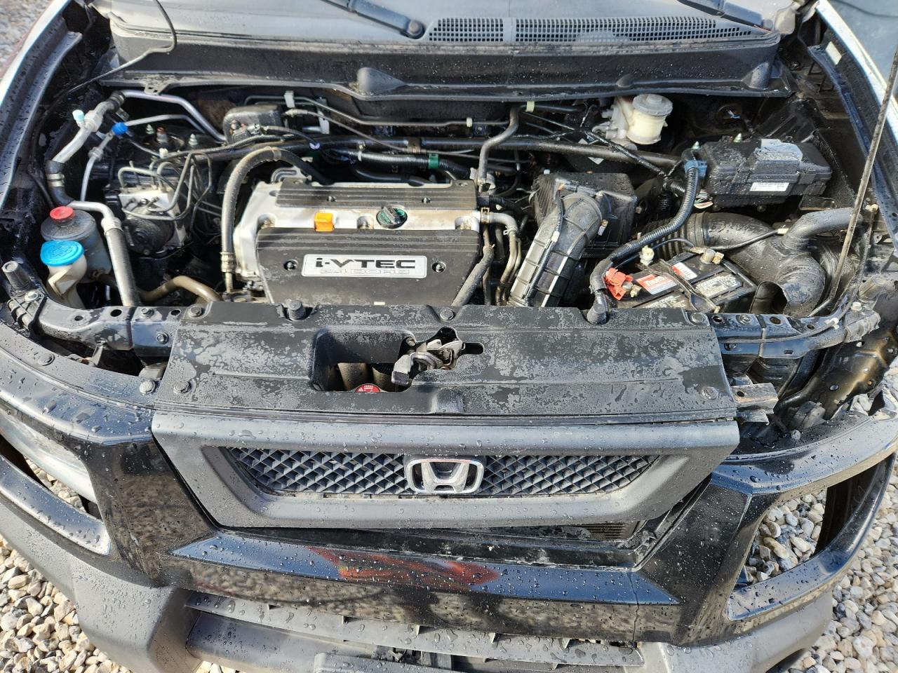 2008 Honda Element Ex VIN: 5J6YH28798L017666 Lot: 85388385