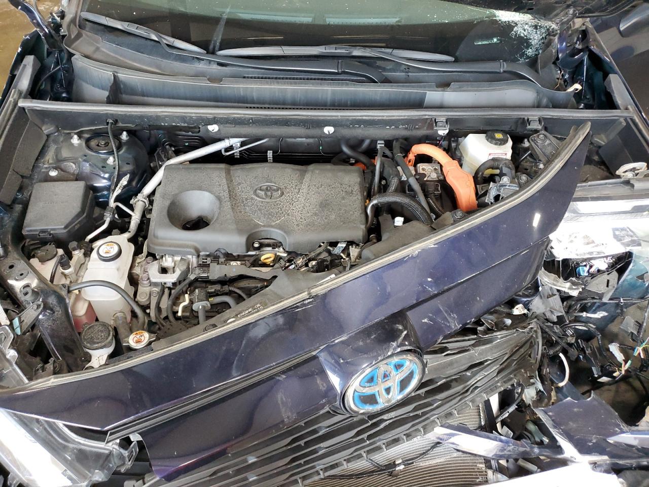 2024 Toyota Rav4 Xle VIN: 4T3RWRFV9RU138738 Lot: 83935295