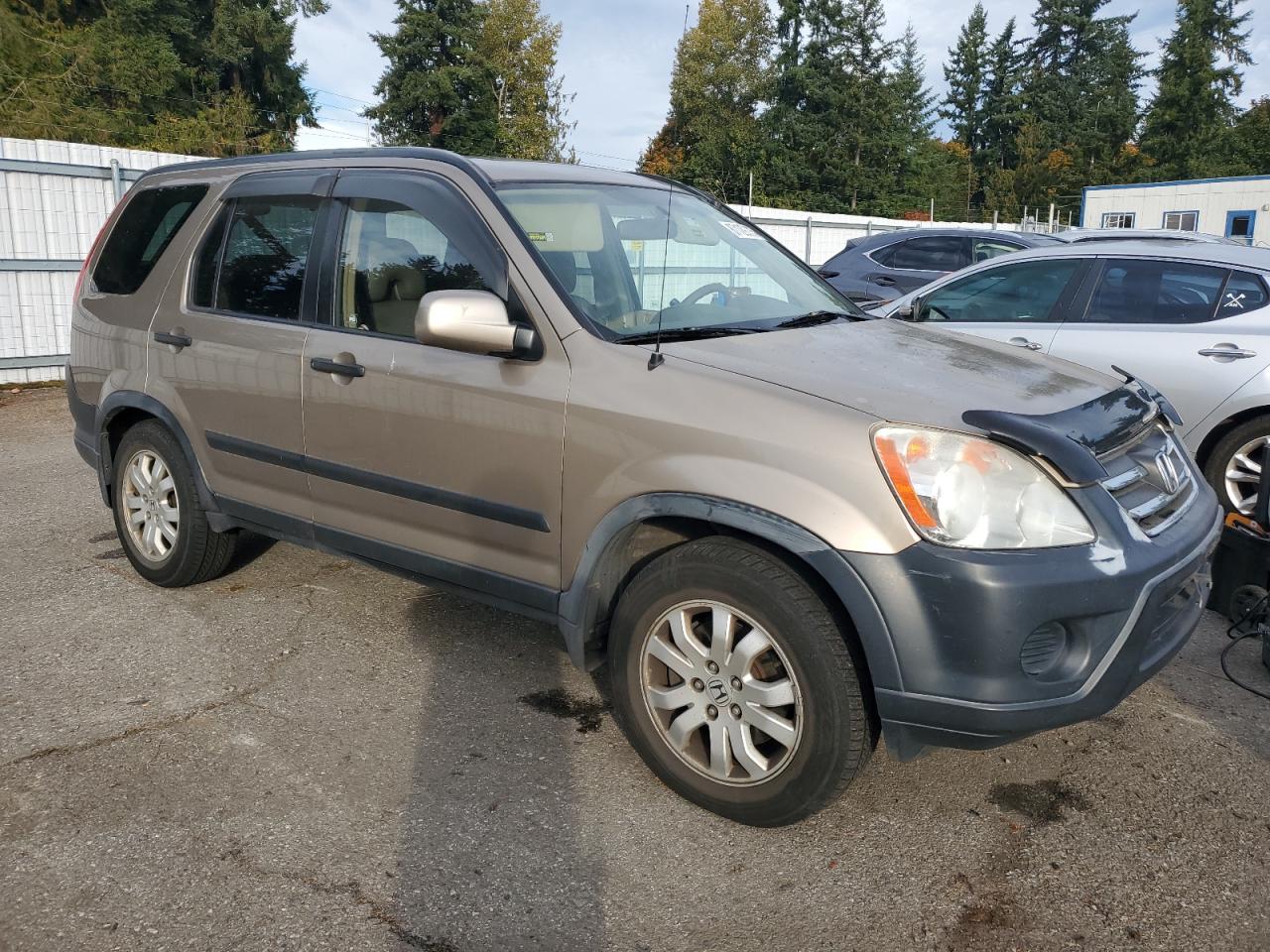 2005 Honda Cr-V Ex VIN: JHLRD78825C024310 Lot: 87129035
