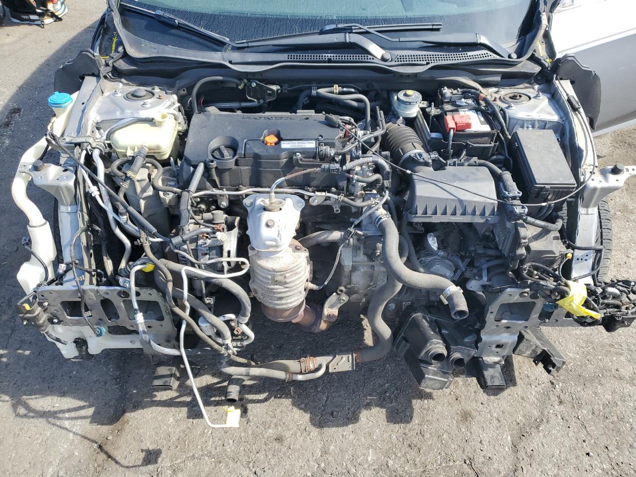 2016 Honda Civic Lx VIN: 19XFC2F55GE210093 Lot: 85321945