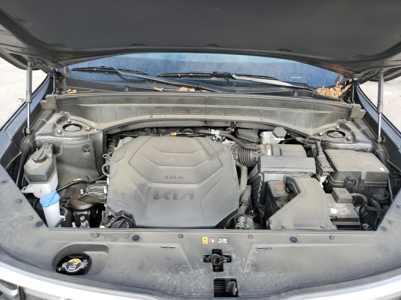 2025 Kia Telluride S VIN: 5XYP64GC0SG609655 Lot: 86242415