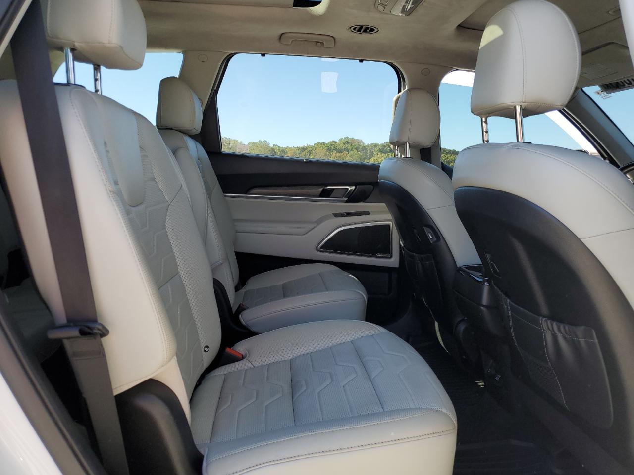 2020 Kia Telluride Sx VIN: 5XYP5DHC1LG087122 Lot: 87021885