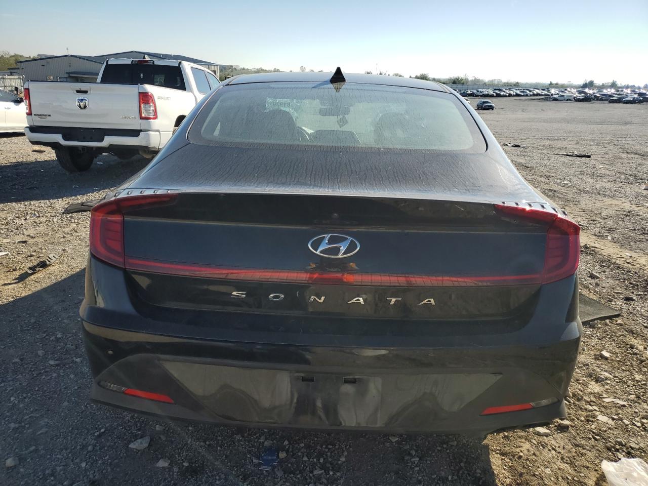 2020 Hyundai Sonata Sel VIN: 5NPEF4JA4LH035022 Lot: 81939235
