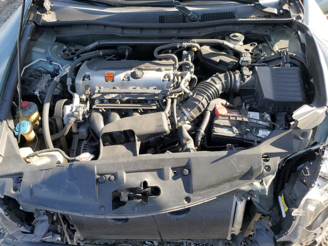 2010 Honda Accord Exl VIN: 1HGCP2F85AA004219 Lot: 81940385