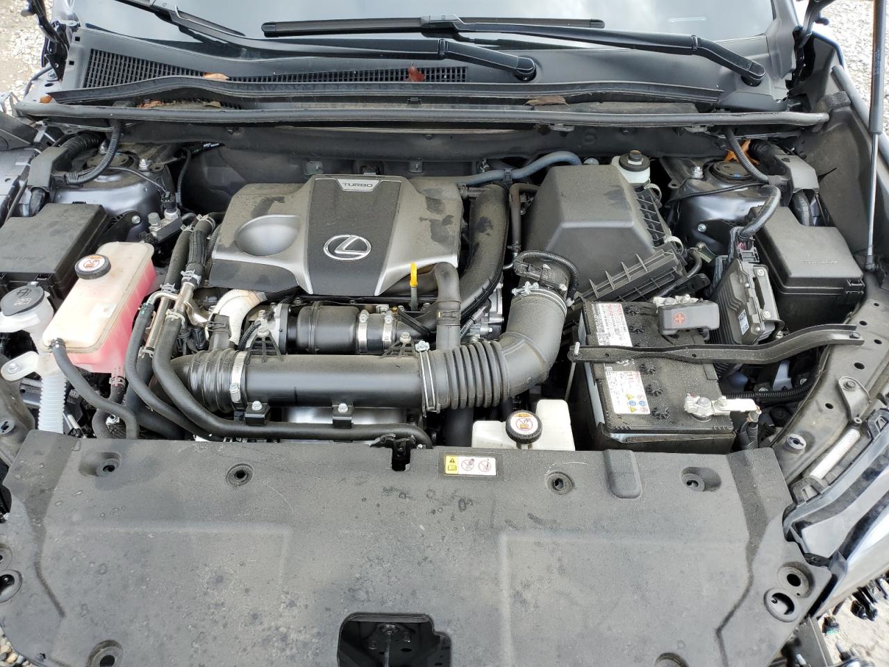 2020 Lexus Nx 300 VIN: JTJGARBZ9L2178409 Lot: 85283545