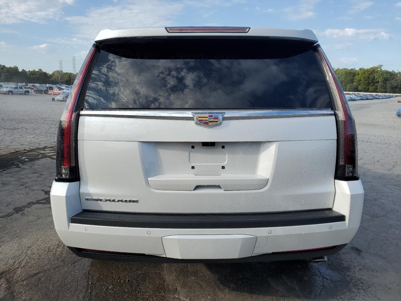 2020 Cadillac Escalade Premium Luxury VIN: 1GYS3CKJ0LR227836 Lot: 87398515