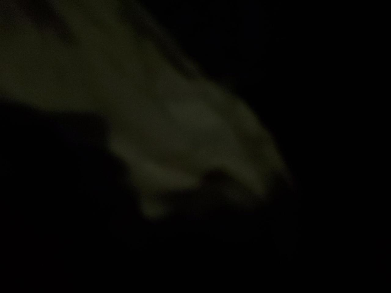 2024 Honda Civic Lx VIN: 2HGFE2F25RH535481 Lot: 86586795