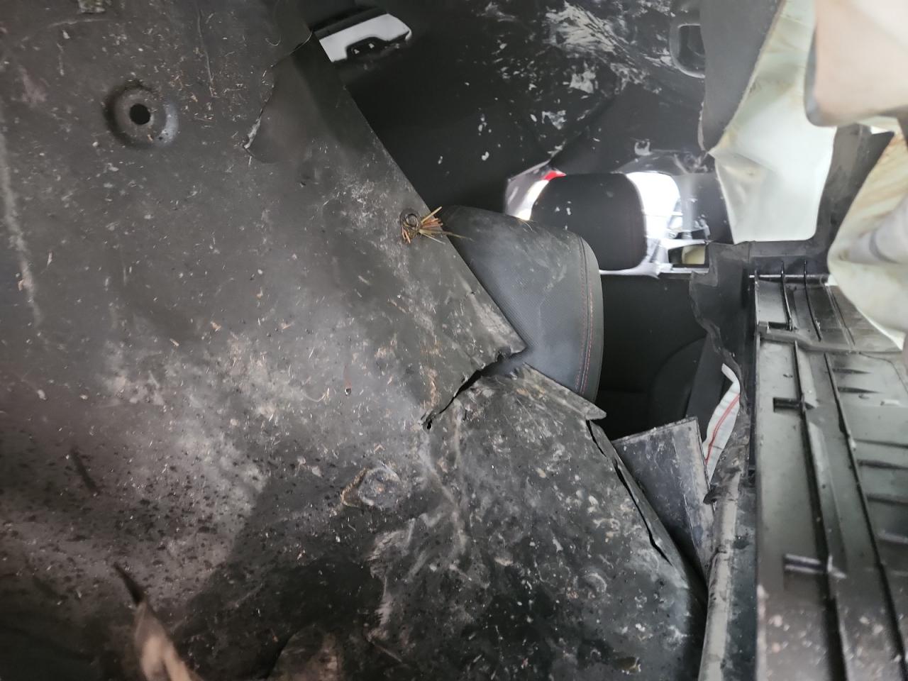 2023 Chevrolet Trailblazer Rs VIN: KL79MUSL5PB194305 Lot: 82676665