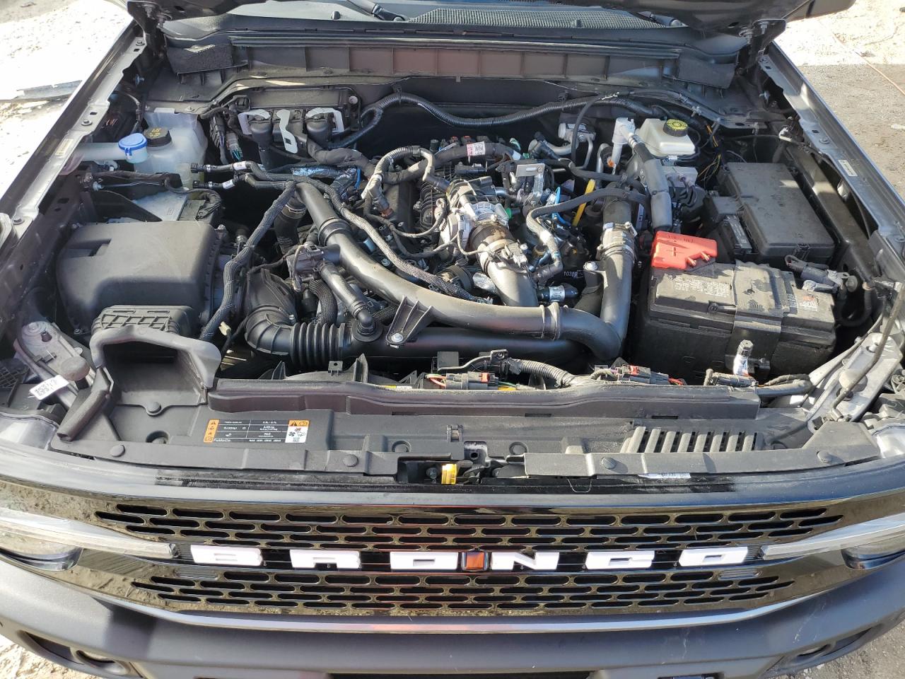 2023 Ford Bronco Base VIN: 1FMEE5DP3PLB94748 Lot: 82261315