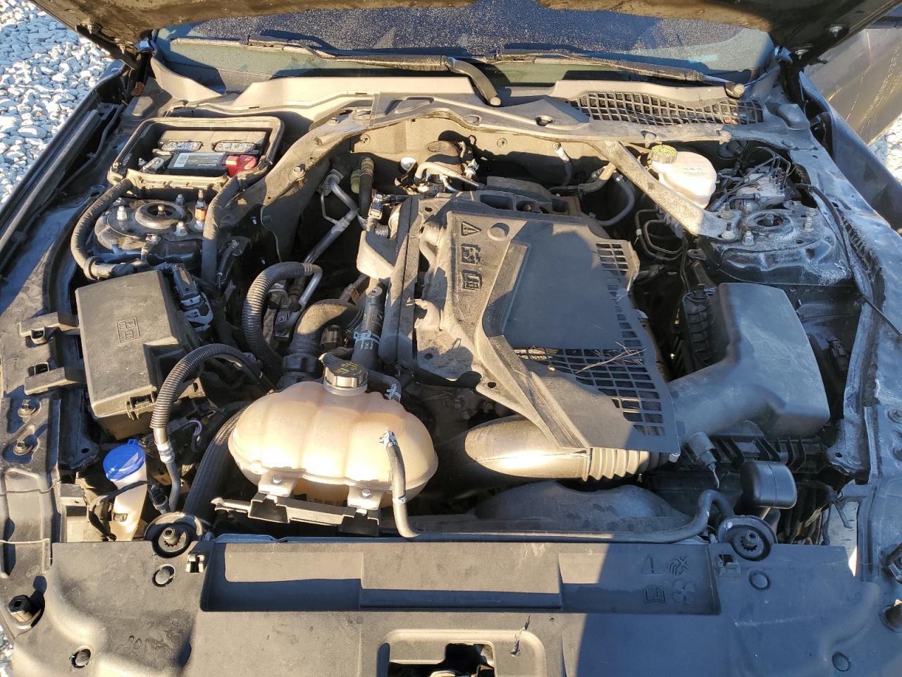 2020 Ford Mustang VIN: 1FATP8UH0L5145575 Lot: 82734405