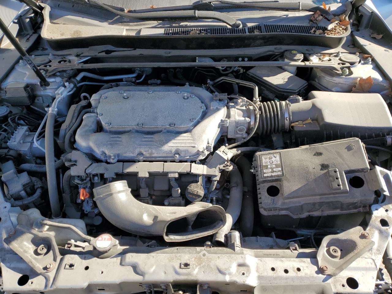 2019 Acura Tlx VIN: 19UUB3F38KA007159 Lot: 81951295