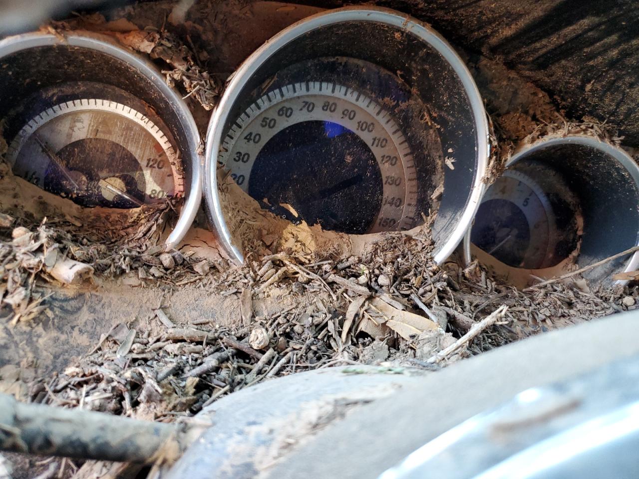 2012 Mercedes-Benz C 250 VIN: WDDGJ4HB3CF880840 Lot: 82006585