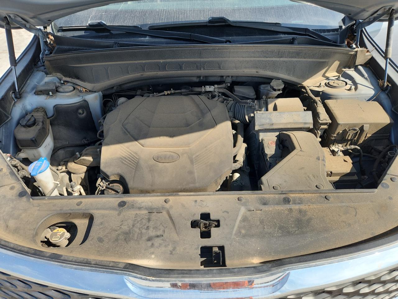 2020 Kia Telluride Ex VIN: 5XYP3DHCXLG008245 Lot: 85761185