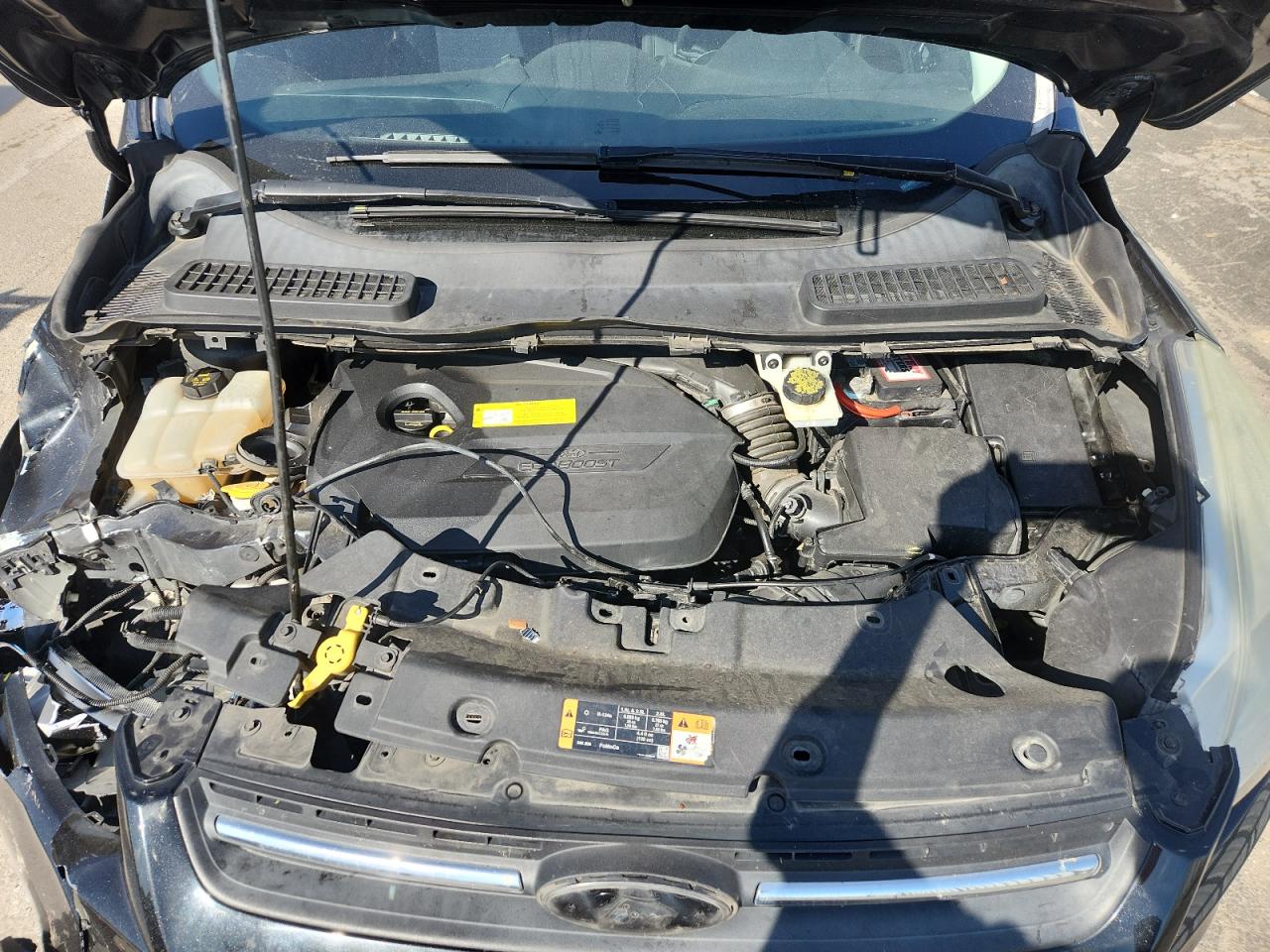 2015 Ford Escape Se VIN: 1FMCU0GX5FUA81983 Lot: 81978415