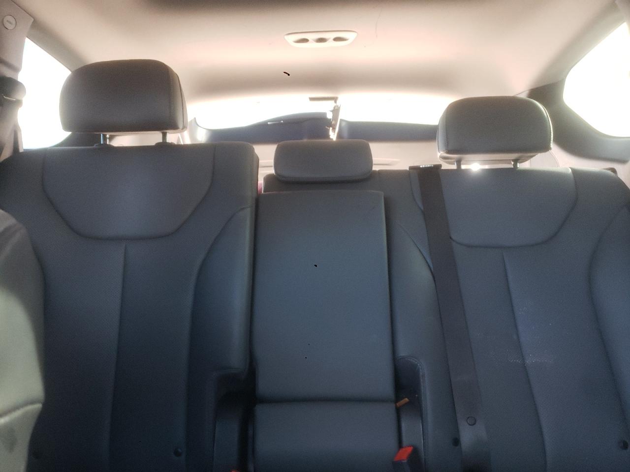 2023 Hyundai Santa Fe Sel Premium VIN: 5NMS3DAJ0PH563798 Lot: 89553095